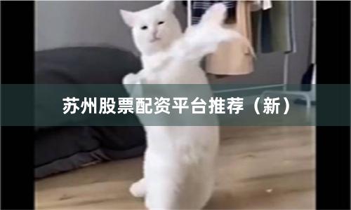 苏州股票配资平台推荐（新）