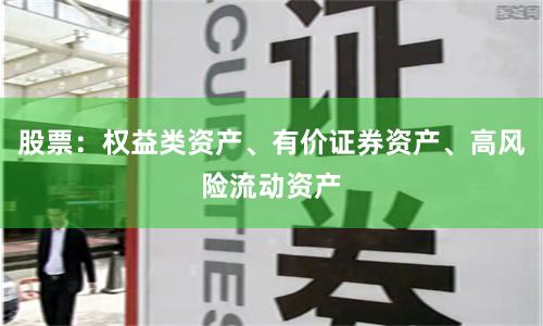 股票：权益类资产、有价证券资产、高风险流动资产